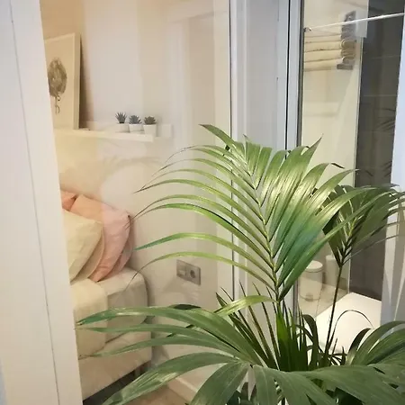 Daniela 아파트