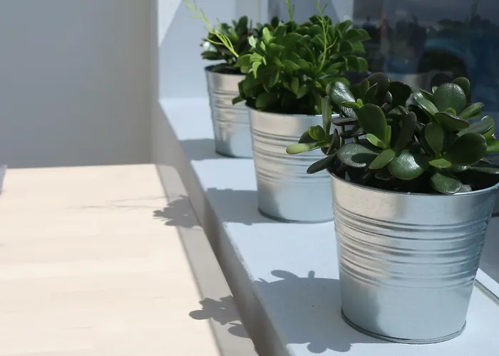 Apartment Daniela Puerto del Carmen (Lanzarote)